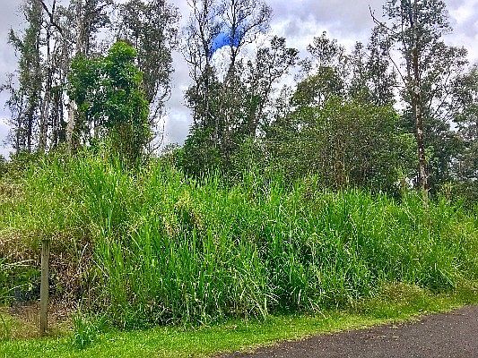 2nd image of Silversword Ct Lot 38