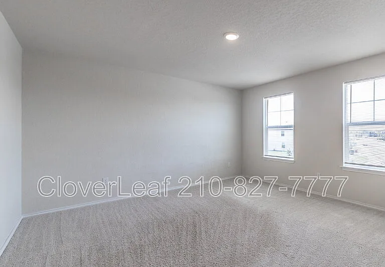 6823 Ashcat — Photo 17