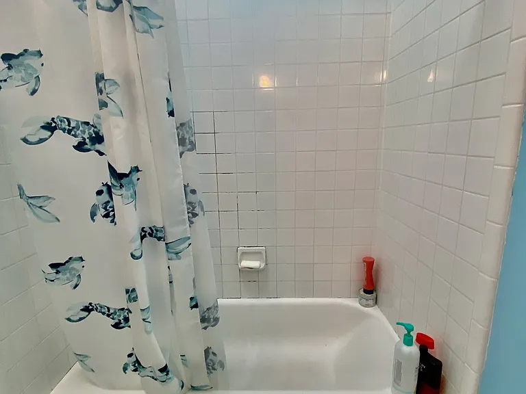 761 S Mole St — Photo 34