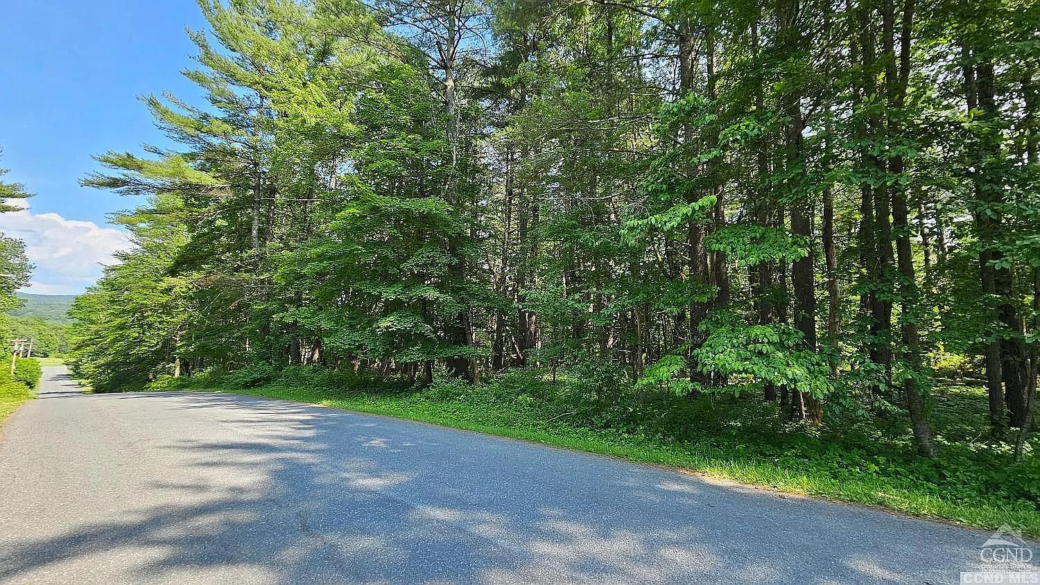 0 Rustys Rd, Ghent, NY 12075 MLS 146877 Zillow