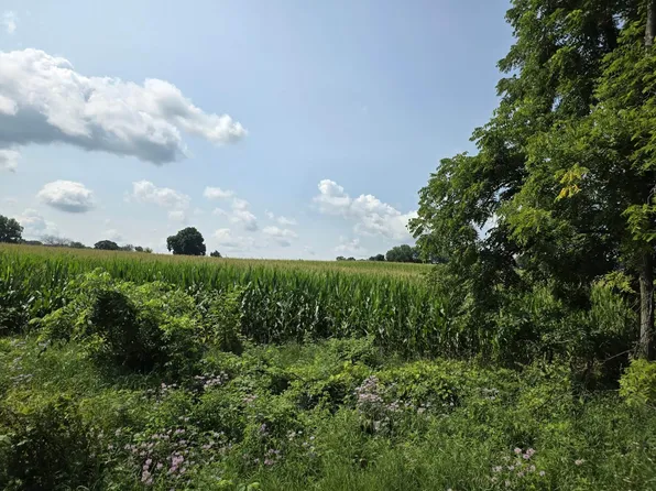 13 Mile Rd Parcel 3, Burlington, MI 49029