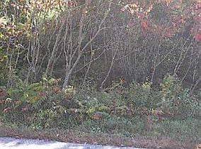 1st image of Lot 1 Meadow (Long Meadow) Lane