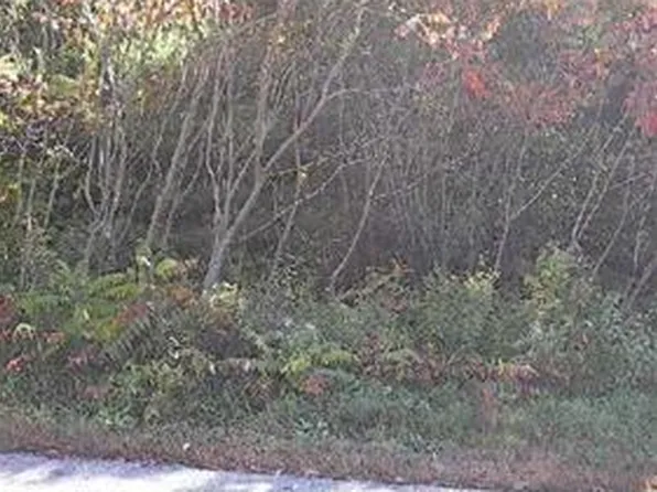 Lot 1 Meadow (Long Meadow) Lane, Turner, ME 04282