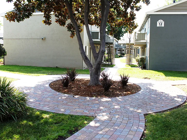 PINEBROOK APTS — Photo 17
