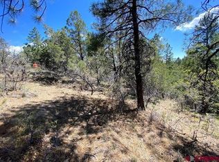 2620 Crooked Rd, Pagosa Springs, CO 81147