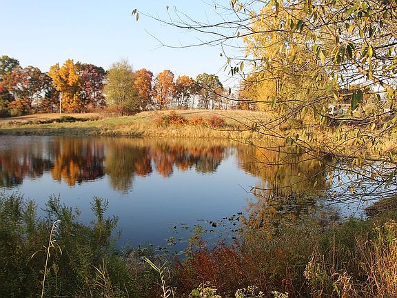 4th image of 12507 Jackson Rd