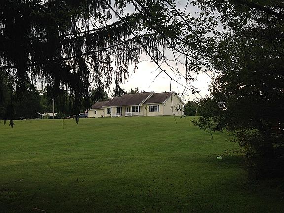 Front yard in summer