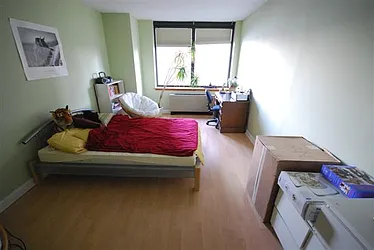 Rented by Luxury Habitat
