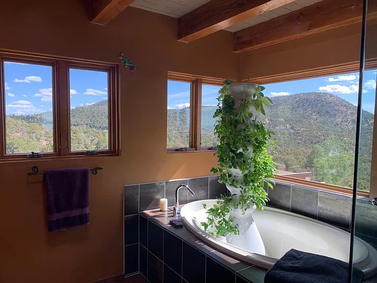 this is "Lettuce Grow"--a hydroponic garden that cranks out greens. Since we discourage the use of these HUGE tubs in the dessert (and there's a hot tub) - this is the perfect use for a tub in NM!