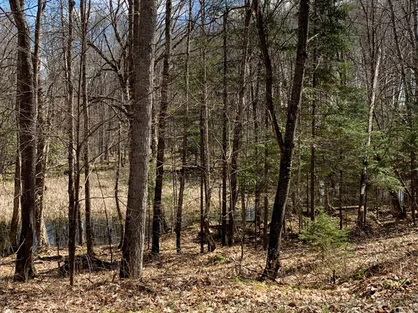 Whitetail Xing, Long Lake, WI 54542