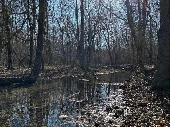 0 Log Rd, Patterson, MO 63956