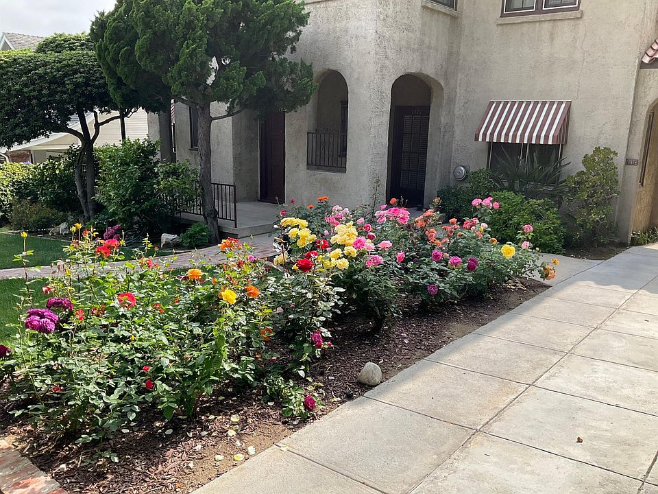 Front Garden
