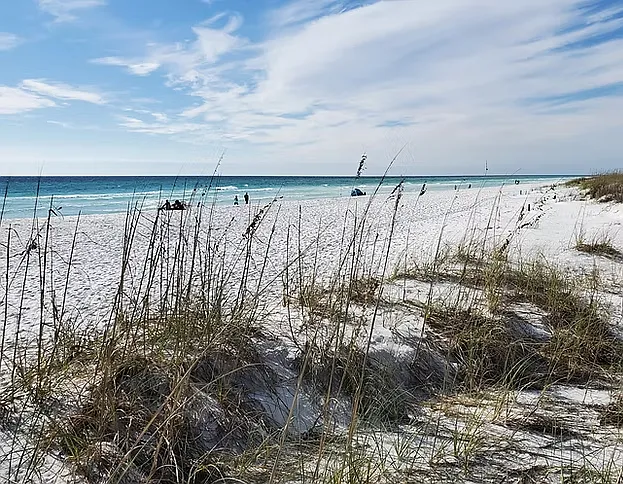 White Sand Beaches