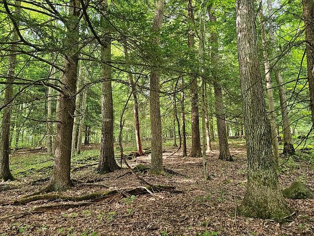 1st image of 0 Hunt Rd
