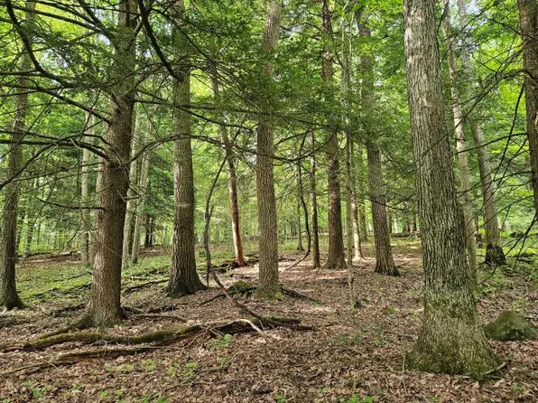 0 Hunt Rd, Pittsfield, PA 16340