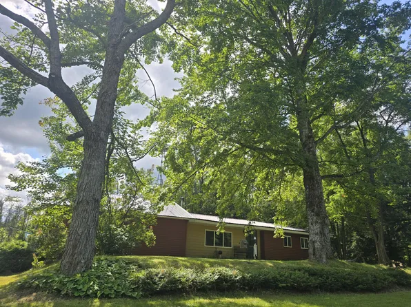 1335 W Kneeland Rd, Mio, MI 48647