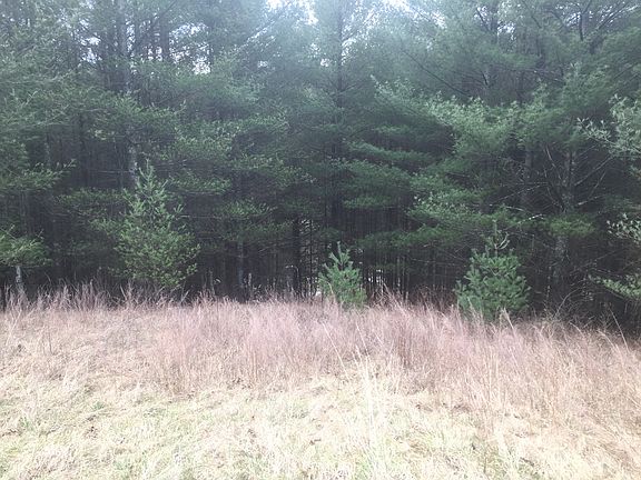 River visible through trees