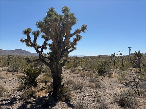 3rd image of 319-08-425 KINGMAN Drive