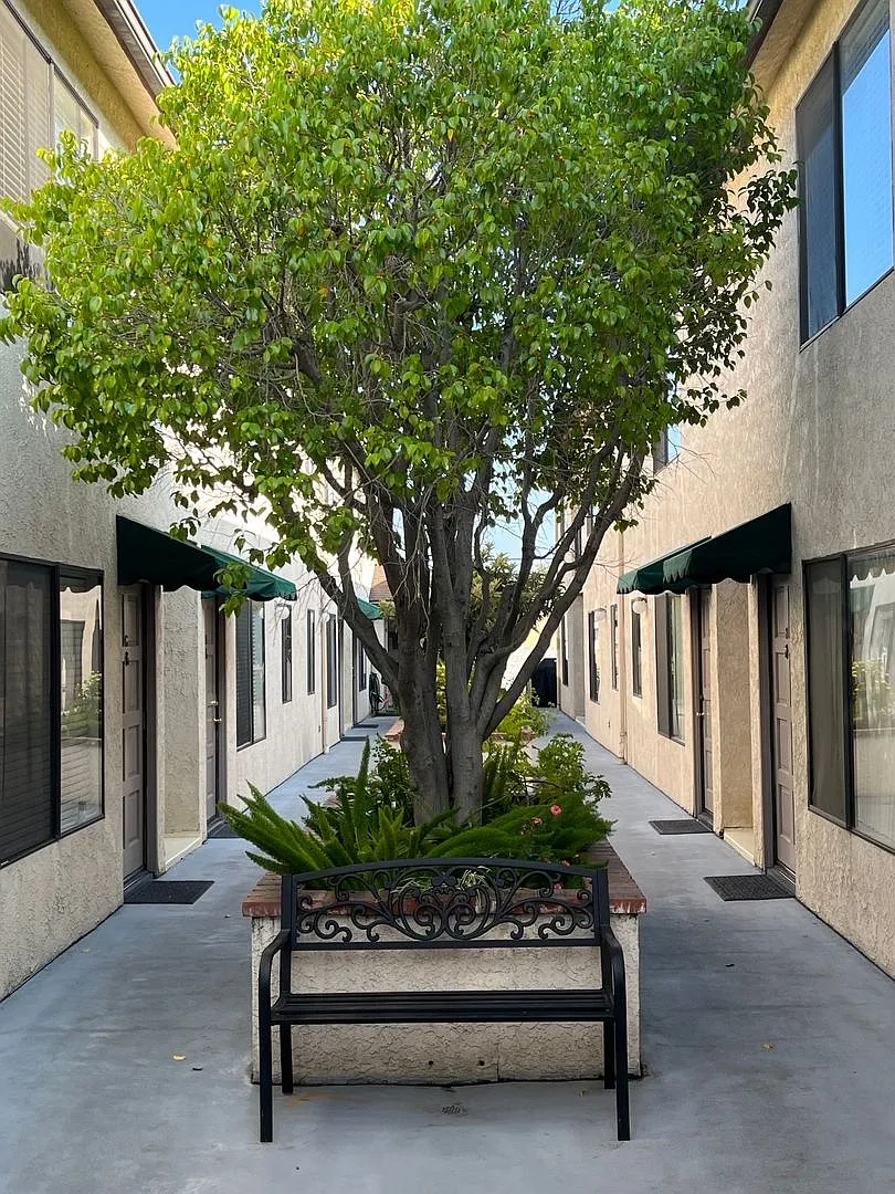 elm226 — Photo 3