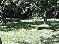 2.25 Acres-Your Own Park