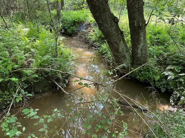 30 Fairview Ln, Morganton, GA 30560