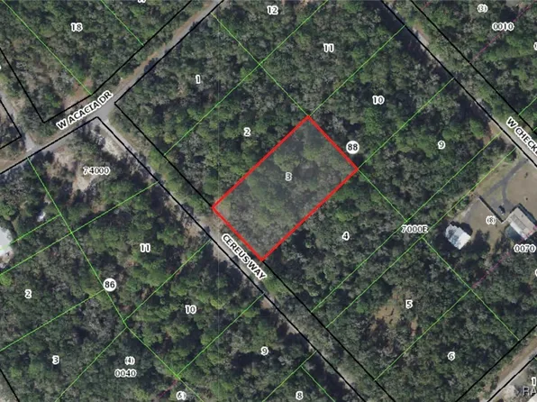 9195 N Cereus Way, Crystal River, FL 34428