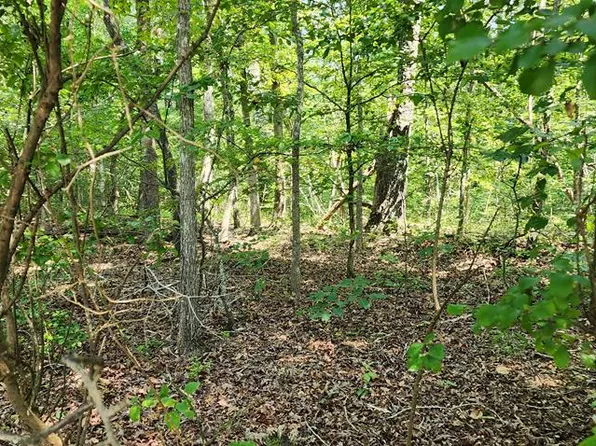 0 Red Ash Rd, Holladay, TN 38341