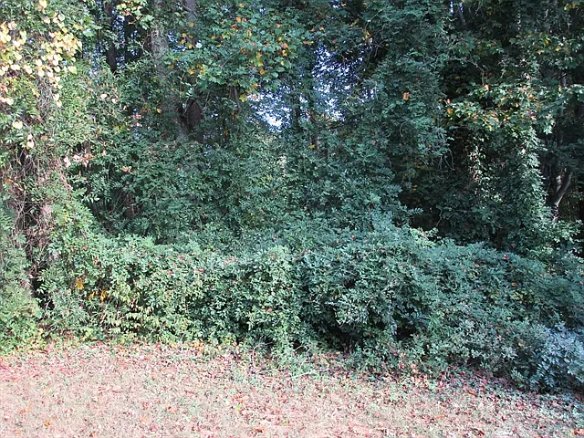 3105 Rome Ct SW — Photo 18