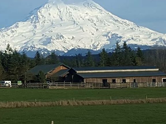 Puyallup school district 