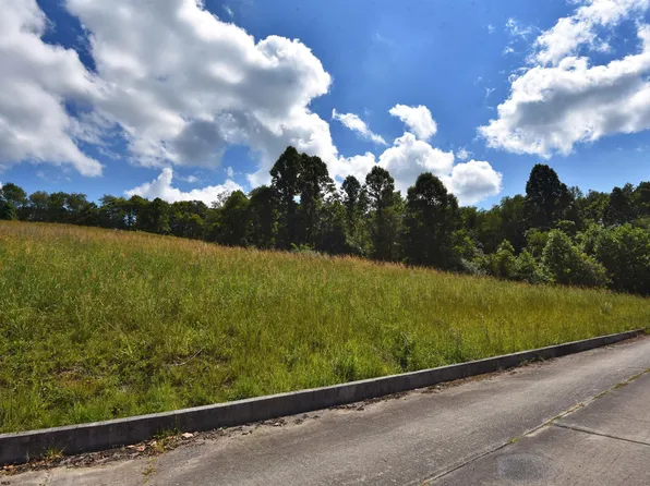 40 Birch St, Grafton, WV 26354