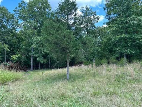 Haida, Cherokee Village, AR 72529