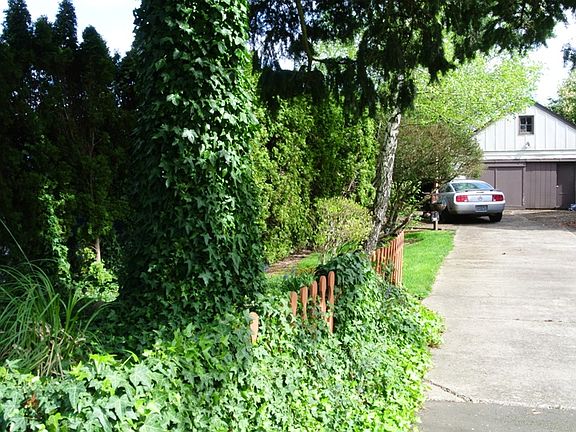 5th image of 534 Illinois Ave NE