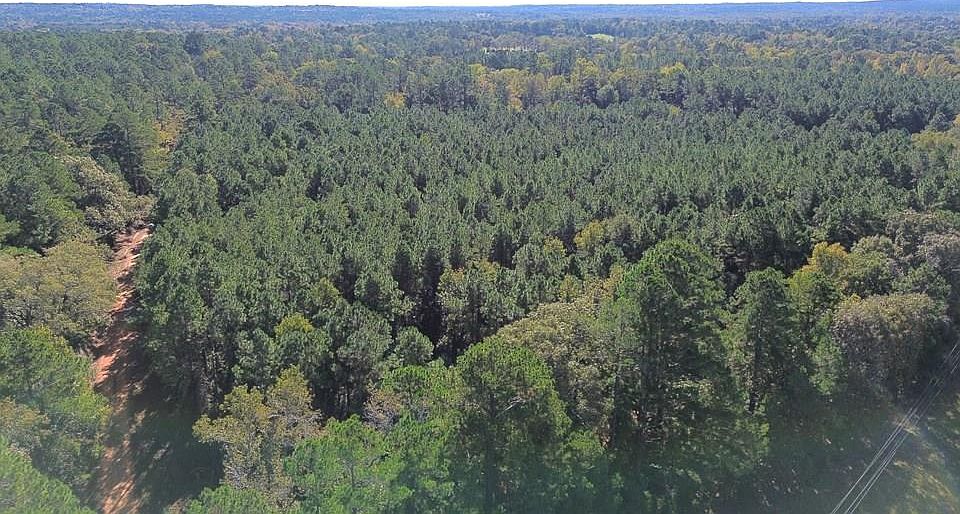 1st image of PARCEL 11405 County Road 2265