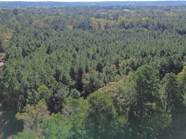23.31 Acres Cres #2265, Grapeland, TX 75844