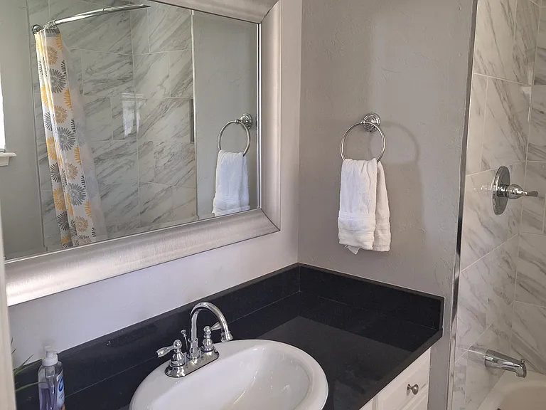 Master bathroom with bathtub and shower.