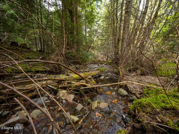 Nka Evans Creek Rd, Medimont, ID 83842