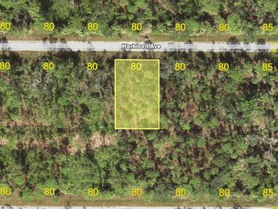 13173 Harbison Ave Lot 22, Pt Charlotte, FL, 33953