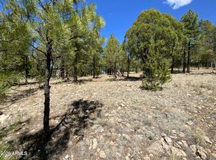 4199 STARLIGHT Drive #613, Happy Jack, AZ 86024