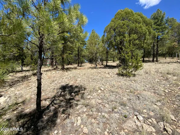 4199 STARLIGHT Drive #613, Happy Jack, AZ 86024