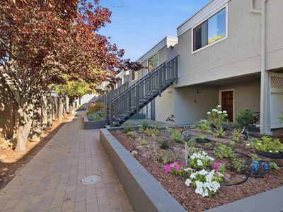 4151 El Camino Way APT I, Palo Alto, CA, 94306