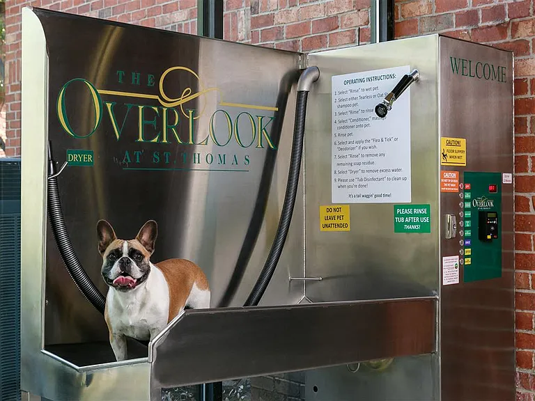Pet-washing station