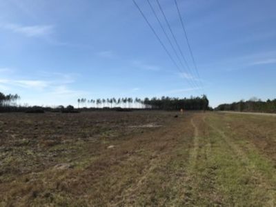 11445 217th Rd, Live Oak, FL, 32060