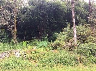 Kolenelio Rd LOT 36, Mountain View, HI 96771