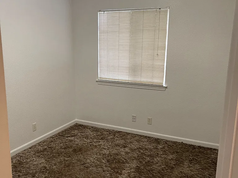 819 Black Walnut Way — Photo 7