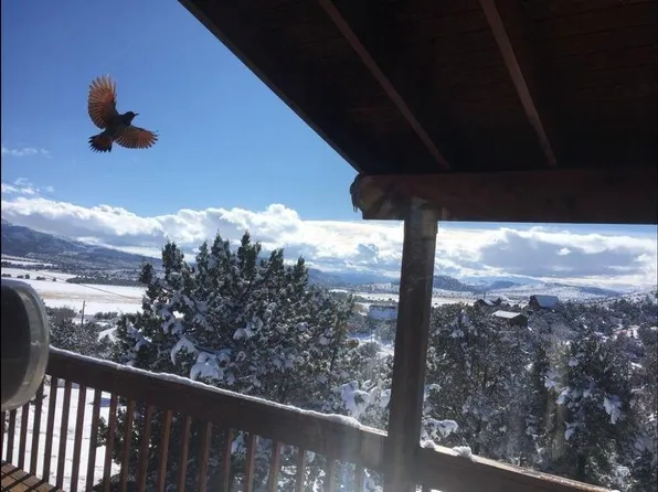 451 E Pine View Dr, Central, UT 84722