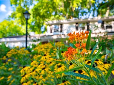 5713 Indian Trace, Madison, WI, 53716