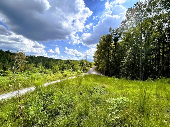 107 Chestnut Mountain Rd, Reliance, TN 37369