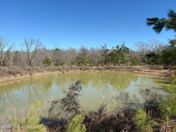 Nelia Rd, Grenada, MS 38901