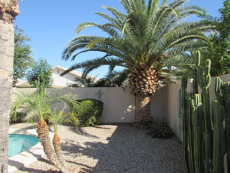 853 E Constitution Dr — Photo 23