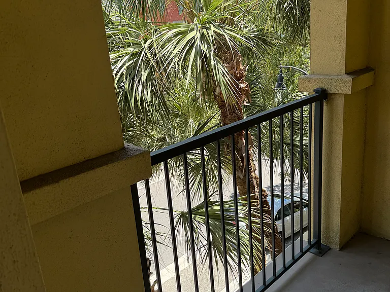 2421 W Horatio St #830 — Photo 6